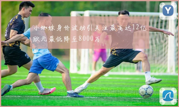 小蜘蛛身价波动引关注最高达12亿欧元最低降至8000万